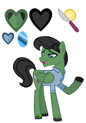Size: 1676x2400 | Tagged: safe, artist:chelseawest, oc, oc only, oc:fine slice, species:pegasus, species:pony, g4, clothing, male, reference sheet, shirt, simple background, solo, stallion, transparent background