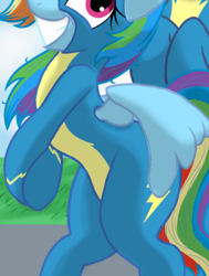 Size: 768x1016 | Tagged: safe, artist:theroyalprincesses, edit, character:rainbow dash, character:soarin', species:pegasus, species:pony, ship:soarindash, g4, belly, bipedal, clothing, cropped, female, flirting, grin, hooves together, male, offscreen character, pictures of bellies, shipping, smiling, solo focus, straight, uniform, wings, wonderbolts uniform