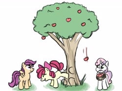 Size: 3600x2700 | Tagged: safe, artist:estrill, character:apple bloom, character:scootaloo, character:sweetie belle, species:pegasus, species:pony, applebucking, basket, cutie mark crusaders