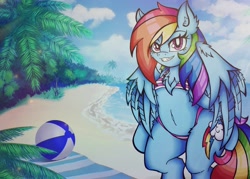 Size: 2048x1463 | Tagged: safe, artist:canvymamamoo, character:rainbow dash, species:anthro, species:pegasus, species:pony, g4, beach, beach ball, beach towel, belly button, blushing, breasts, clothing, cloud, ear fluff, female, looking at you, mare, palm tree, smiling, solo, swimsuit, tree