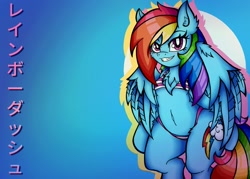 Size: 2048x1463 | Tagged: safe, alternate version, artist:canvymamamoo, character:rainbow dash, species:anthro, species:pegasus, species:pony, g4, belly button, blue background, blushing, breasts, clothing, ear fluff, female, japanese, looking at you, mare, simple background, smiling, solo, swimsuit, text