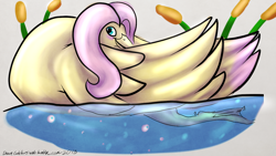 Size: 1280x720 | Tagged: safe, artist:blindcoyote, character:fluttershy, species:duck, 30 minute art challenge, cattails, female, flutterduck, gray background, simple background, solo, species swap