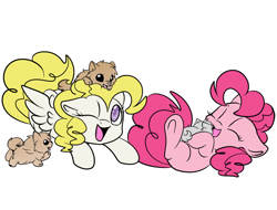 Size: 950x722 | Tagged: safe, artist:lustrous-dreams, character:pinkie pie, character:surprise, species:dog, adoraprise, cute, diapinkes, dog tags, filly, happy, puppy, younger