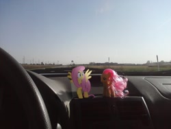 Size: 1600x1200 | Tagged: safe, artist:missmayaleanne, character:fluttershy, brushable, car, driving, frightened, irl, photo, ponies in real life, toy