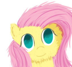 Size: 900x840 | Tagged: safe, artist:tggeko, character:fluttershy, fluffy