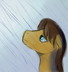 Size: 664x699 | Tagged: safe, artist:tggeko, character:caramel, rain, sad