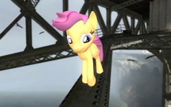 Size: 1680x1050 | Tagged: safe, artist:pinkie diane roosevelt phd, character:scootaloo, species:pegasus, species:pony, species:seagull, 3d, female, gmod, half-life 2, high up, solo