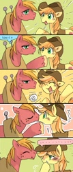 Size: 319x743 | Tagged: safe, artist:pasikon, character:big mcintosh, character:braeburn, species:earth pony, species:pony, ship:braemac, applecest, blushing, comic, gay, incest, kissing, male, shipping, stallion