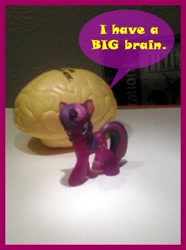 Size: 352x473 | Tagged: safe, artist:drpain, character:twilight sparkle, blind bag, brain, dialogue, figure, irl, photo, speech bubble, text, toy