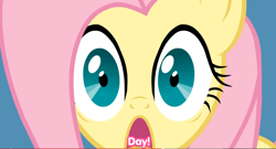 Size: 1328x716 | Tagged: safe, artist:misterdavey, character:fluttershy, close-up, eating, eating captions, female, funny, open mouth, screaming, shocked, smile hd, solo, wat, wide eyes