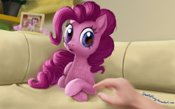Size: 2000x1250 | Tagged: safe, artist:deathpwny, character:pinkie pie, species:earth pony, species:human, species:pony, couch, cute, doge, duo, female, fluffy, frown, hand, looking at you, mare, meme, parody, ponified animal photo, prone, realistic, shiba inu, solo focus, uncanny valley, wide eyes