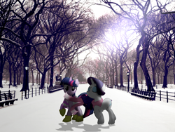 Size: 1920x1440 | Tagged: safe, artist:moongazeponies, artist:mr-blitz, artist:quanno3, character:rarity, character:twilight sparkle, bench, boots, central park, clothing, irl, light post, new york city, photo, ponies in real life, scarf, snow, tree, vector