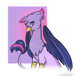 Size: 900x900 | Tagged: safe, artist:otterlore, character:twilight sparkle, species:griffon, female, griffonized, my little griffon, simple background, solo, species swap, white background