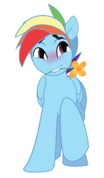 Size: 1477x2513 | Tagged: safe, artist:wicklesmack, character:rainbow dash, species:pegasus, species:pony, blitzabetes, blushing, cute, dashabetes, flower, flower in mouth, grin, lip bite, looking sideways, male, mouth, mouth hold, one hoof raised, rainbow blitz, raised hoof, rule 63, rule63betes, simple background, smiling, solo, squee, stallion, transparent background