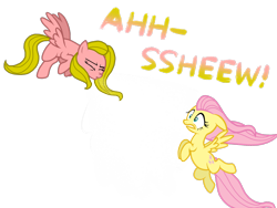 Size: 2048x1536 | Tagged: safe, artist:proponypal, character:fluttershy, oc, oc:typhoon, duo, mucus, sneezing, sneezing fetish, snot, spit, spray, wind