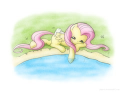 Size: 1200x900 | Tagged: safe, artist:jdan-s, character:angel bunny, character:fluttershy, species:pegasus, species:pony, angelbetes, cute, eyes closed, female, lying down, mare, shyabetes, sleeping, smiling, water