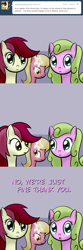 Size: 650x1950 | Tagged: safe, artist:why485, character:daisy, character:lily, character:lily valley, character:roseluck, ask, ask captain pipsqueak, ask the flower trio, flower trio, tumblr