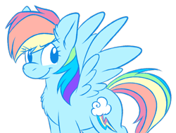Size: 1024x768 | Tagged: safe, artist:fizzy-dog, character:rainbow dash, chest fluff, female, solo, spread wings, wings