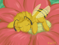 Size: 500x375 | Tagged: safe, artist:tggeko, bee, bee pony, crossover, flower, maya the bee, mlpgdraws, original species, ponified, sleeping, solo