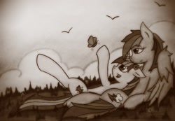 Size: 1998x1384 | Tagged: safe, artist:canvymamamoo, character:rainbow dash, character:twilight sparkle, species:bird, ship:twidash, butterfly, female, grass, lesbian, sepia, shipping