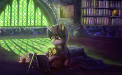 Size: 800x496 | Tagged: safe, artist:cosmicunicorn, character:owlowiscious, character:twilight sparkle, character:twilight sparkle (alicorn), species:alicorn, species:pony, book, bookcase, cute, eyes closed, female, hug, mare, prone, reading, smiling, tea, twilight's castle, window