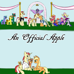Size: 2500x2500 | Tagged: safe, artist:xxmarkingxx, character:apple bloom, character:applejack, character:big mcintosh, character:flam, character:flim, character:fluttershy, character:granny smith, character:pinkie pie, character:rainbow dash, character:rarity, character:twilight sparkle, character:twilight sparkle (alicorn), parent:applejack, parent:flim, parents:flimjack, species:alicorn, species:pony, ship:flimjack, female, male, mare, marriage, offspring, shipping, straight, wedding