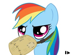 Size: 800x600 | Tagged: safe, artist:elslowmo, character:rainbow dash, feed bag, female, horses doing horse things, solo