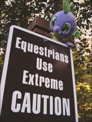 Size: 600x800 | Tagged: safe, artist:cosmicunicorn, character:spike, irl, photo, plushie, sign, solo