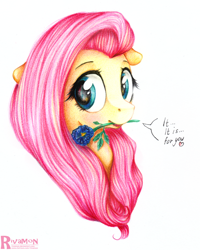 Size: 2000x2501 | Tagged: safe, artist:vird-gi, character:fluttershy, female, flower, flower in mouth, mouth hold, simple background, solo, traditional art, white background