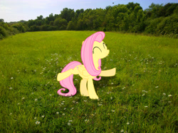 Size: 2592x1944 | Tagged: safe, artist:makenshi179, artist:moongazeponies, character:fluttershy, dancing, field, grass field, irl, photo, ponies in real life, solo, tree, vector