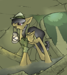 Size: 512x576 | Tagged: safe, artist:sinrar, character:daring do, species:pegasus, species:pony, g4, cave, female, lamp, lantern, mare, mouth hold, profile, signature, solo