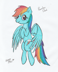 Size: 1869x2293 | Tagged: safe, artist:serenepony, character:rainbow dash, species:pegasus, species:pony, female, simple background, solo, traditional art