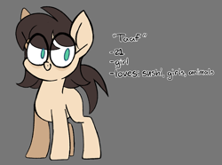 Size: 1071x798 | Tagged: safe, artist:taaffeite, derpibooru original, oc, oc only, ponysona, unnamed oc, species:earth pony, species:pony, bags under eyes, female, gray background, mare, simple background, solo, text, white outline