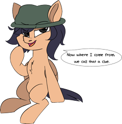 Size: 1434x1455 | Tagged: safe, artist:taaffeite, derpibooru original, oc, oc only, oc:lux astera, species:pegasus, species:pony, clothing, commission, dialogue, hat, looking at you, male, open mouth, simple background, sitting, solo, speech bubble, stallion, transparent background