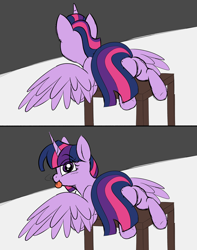 Size: 3000x3800 | Tagged: safe, artist:taaffeite, derpibooru original, character:twilight sparkle, character:twilight sparkle (alicorn), species:alicorn, species:pony, behaving like a cat, big eyes, blep, blushing, butt, colored sketch, cute, female, looking at you, looking back, looking back at you, mare, plot, ponified animal photo, rear view, silly, silly pony, simple background, solo, spread wings, table, tongue out, twiabetes, twibutt, wings