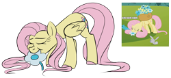Size: 1408x640 | Tagged: safe, artist:taaffeite, derpibooru original, character:fluttershy, species:pegasus, species:pony, episode:swarm of the century, g4, my little pony: friendship is magic, colored hooves, comparison, eating, eyes closed, female, flower, grazing, horses doing horse things, mare, nom, redraw, scene interpretation, simple background, solo, transparent background