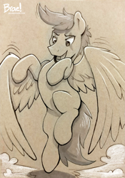 Size: 1257x1800 | Tagged: safe, artist:braeburned, imported from derpibooru, oc, oc only, species:pegasus, species:pony, male, simple background, solo, traditional art