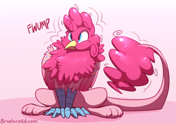 Size: 1280x903 | Tagged: safe, artist:braeburned, imported from derpibooru, character:pinkie pie, species:griffon, chest fluff, cute, diapinkes, fluffy, griffonized, my little griffon, pink background, puffy cheeks, signature, simple background, sitting, solo, species swap