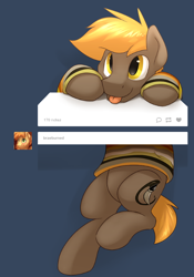 Size: 524x750 | Tagged: safe, artist:braeburned, imported from derpibooru, oc, oc only, oc:umber, species:pony, cute, solo, tumblr