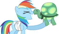 Size: 7955x4672 | Tagged: safe, artist:choopy, character:rainbow dash, character:tank, absurd resolution, bandage, simple background, transparent background, vector