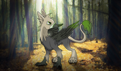 Size: 2000x1178 | Tagged: safe, artist:asklevee, oc, oc only, oc:ralek, species:griffon, colored wings, forest, gradient wings, paws, solo, talons