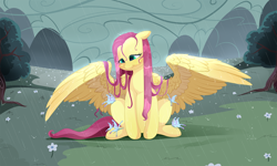 Size: 1550x930 | Tagged: safe, artist:aidapone, character:fluttershy, species:pegasus, species:pony, butterfly, female, mare, protecting, rain, sitting, smiling, solo, spread wings, wet mane, wing shelter, wings