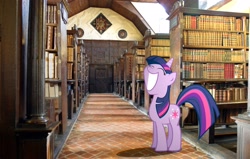Size: 3072x1948 | Tagged: safe, artist:hachaosagent, character:twilight sparkle, species:pony, big smile, epic smile, happy, irl, library, photo, ponies in real life, shadow, the promised land, vector