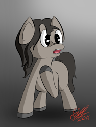 Size: 840x1120 | Tagged: safe, artist:gift, species:earth pony, species:pony, brown mane, solo, standing