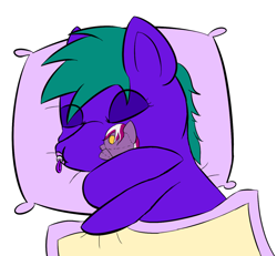 Size: 1280x1182 | Tagged: safe, artist:gift, oc, oc only, oc:night hook, oc:nighthook, adult foal, bed, blanket, pacifier, peaceful, pillow, plushie, sleeping, snuggling, solo