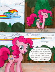 Size: 2511x3264 | Tagged: safe, artist:thedarklordkeisha, character:pinkie pie, character:rainbow dash, species:pony, ship:pinkiedash, female, implied shipping, lesbian, looney tunes, mare, parody, pepe le pew, pronking, shipping