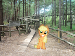 Size: 3648x2736 | Tagged: safe, artist:harpycross, character:applejack, absurd file size, bridge, forest, grin, hiking, irl, looking at you, photo, ponies in real life, raised hoof, smiling, solo, trail