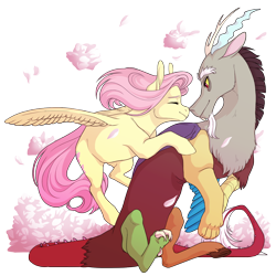 Size: 1500x1500 | Tagged: safe, artist:seleniium, character:discord, character:fluttershy, ship:discoshy, boop, duo, eyes closed, female, flower, male, noseboop, nuzzling, petals, shipping, simple background, smiling, spread wings, straight, transparent background, wings