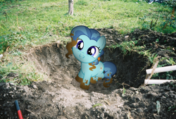 Size: 1818x1228 | Tagged: safe, artist:harpycross, character:petunia paleo, species:earth pony, species:pony, episode:the fault in our cutie marks, g4, my little pony: friendship is magic, backyard, cute, digging, dirty, hole, irl, petuniabetes, photo, photoshop, ponies in real life, solo, vector, weapons-grade cute