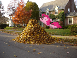 Size: 1280x960 | Tagged: safe, artist:harpycross, character:pinkie pie, species:earth pony, species:pony, autumn, autumn leaves, bush, female, grass, house, irl, jumping, leaf, leaf pile, mare, photo, photoshop, ponies in real life, solo, street, tree, vector